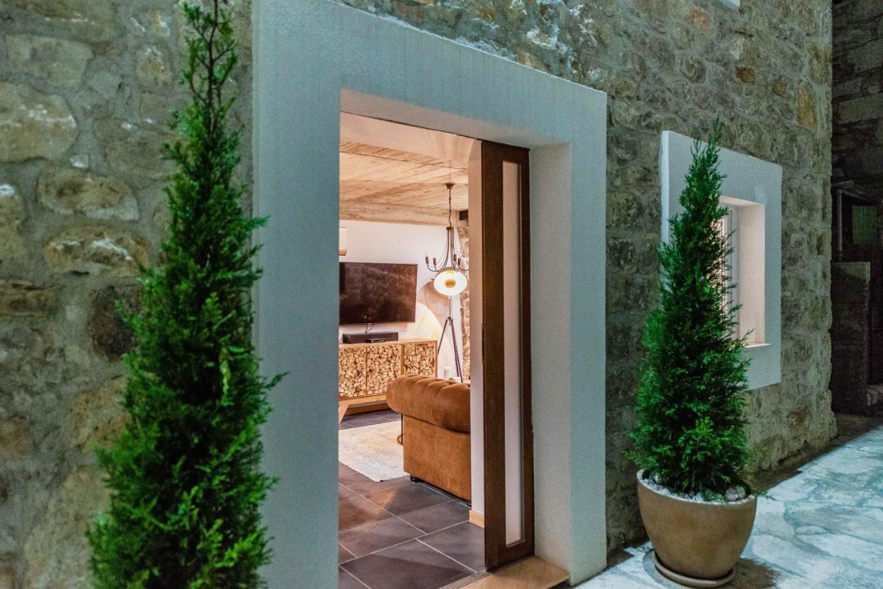Villa Planita Dalmacija Novigrad  Exterior photo